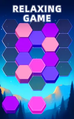 Hexa Master 3D android App screenshot 10