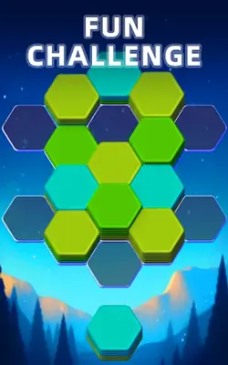 Hexa Master 3D android App screenshot 12